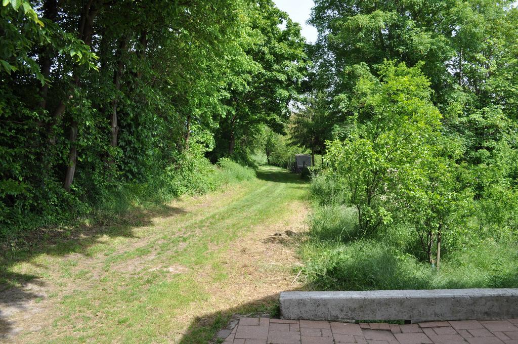 Ferienwohnung Kaestle Bad Bergzabern Esterno foto